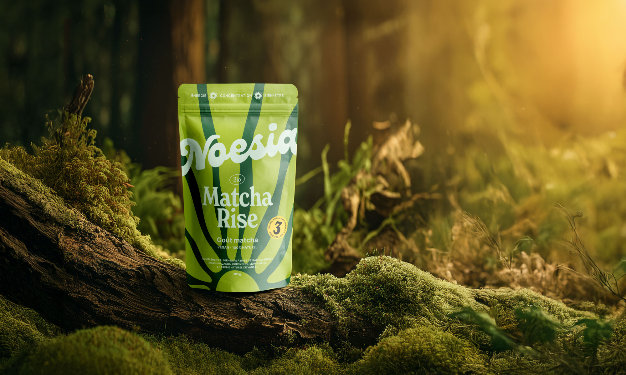 Matcha : entre tradition et modernité, un rituel réinventé