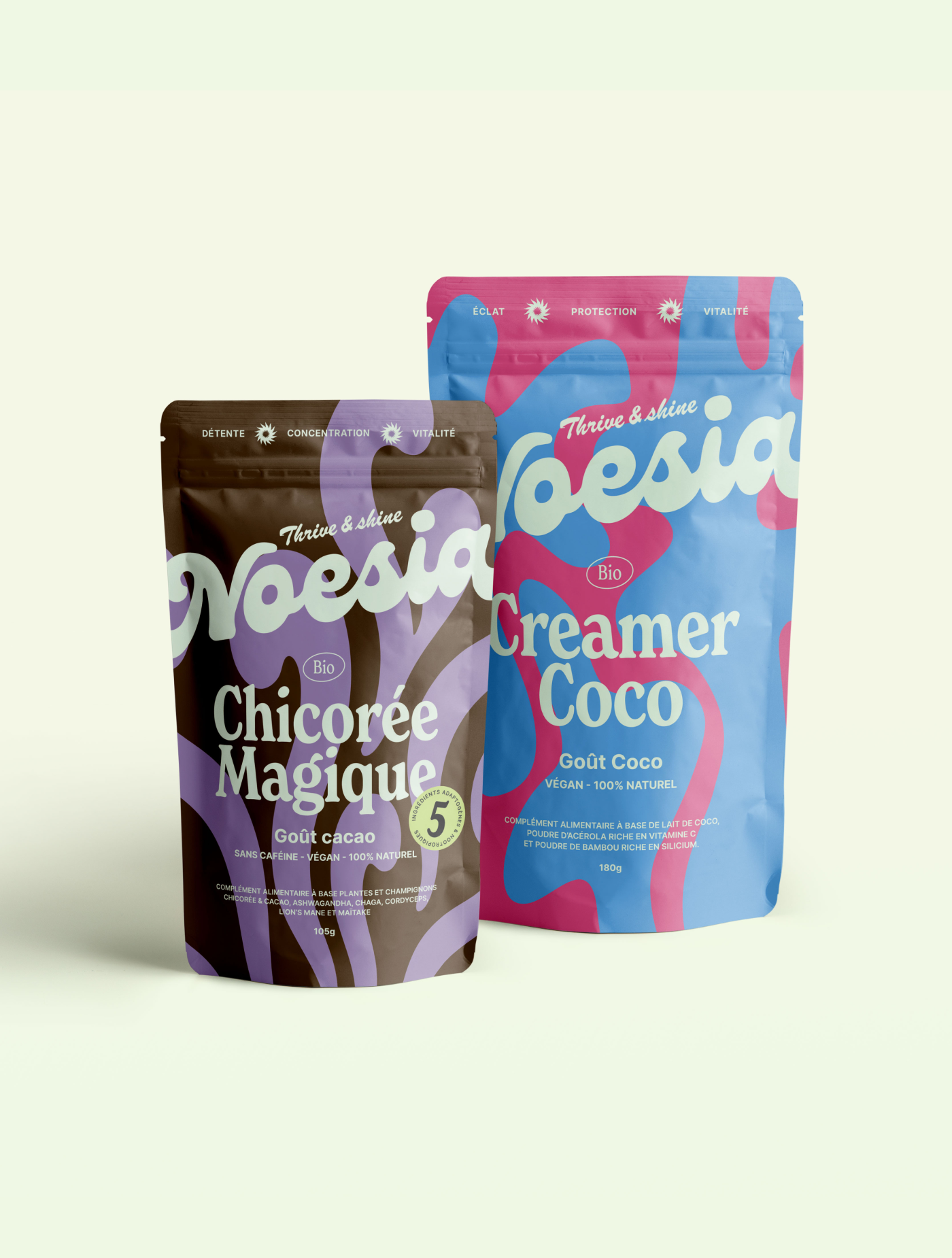 Chicorée magique + Creamer Coco