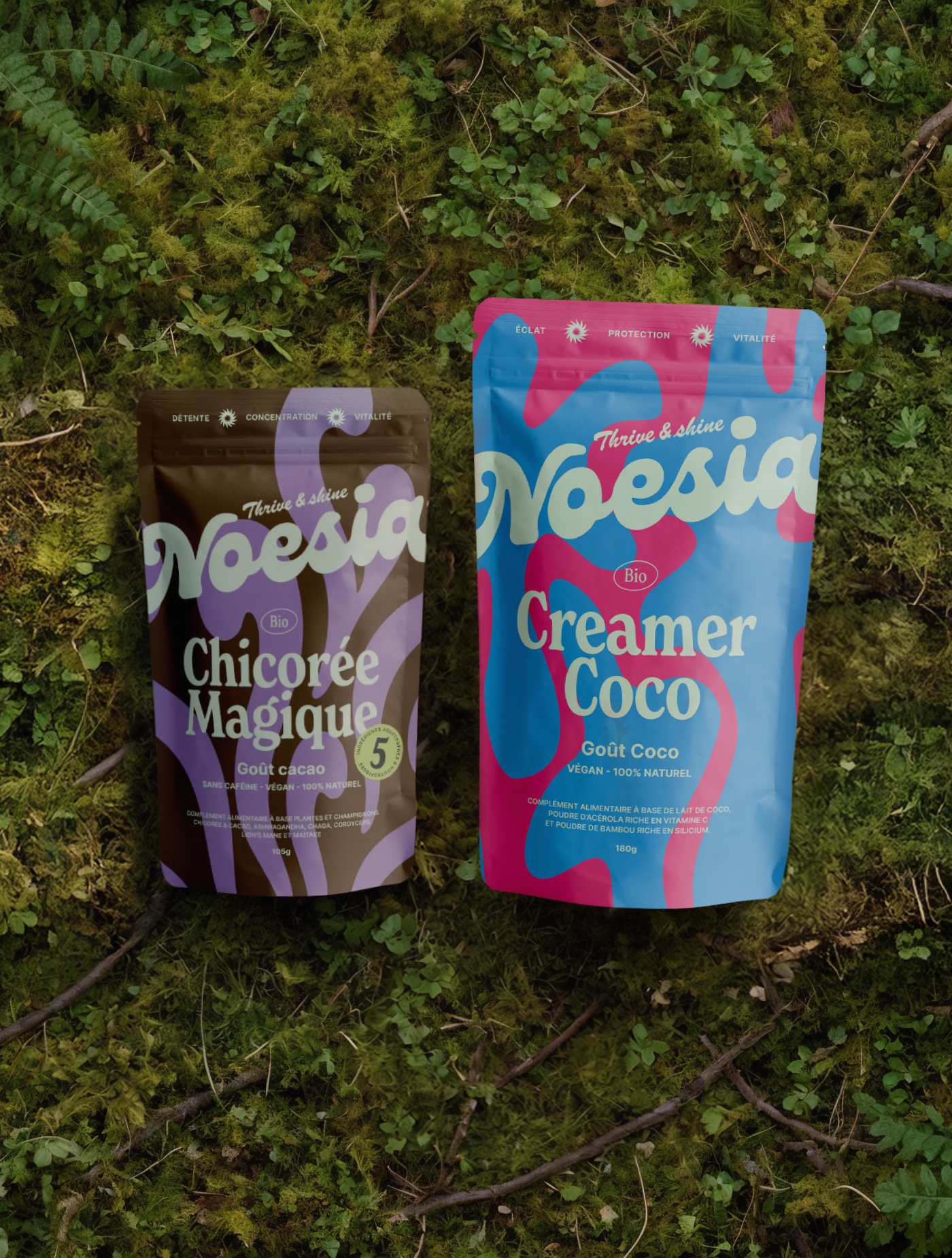 Chicorée magique + Creamer Coco