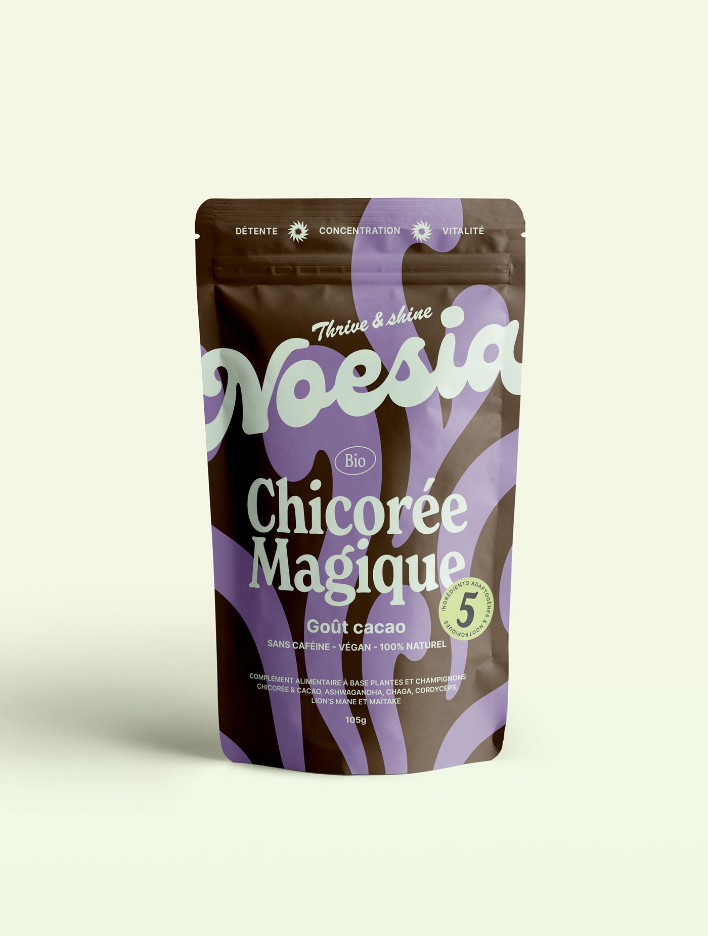 Chicorée magique